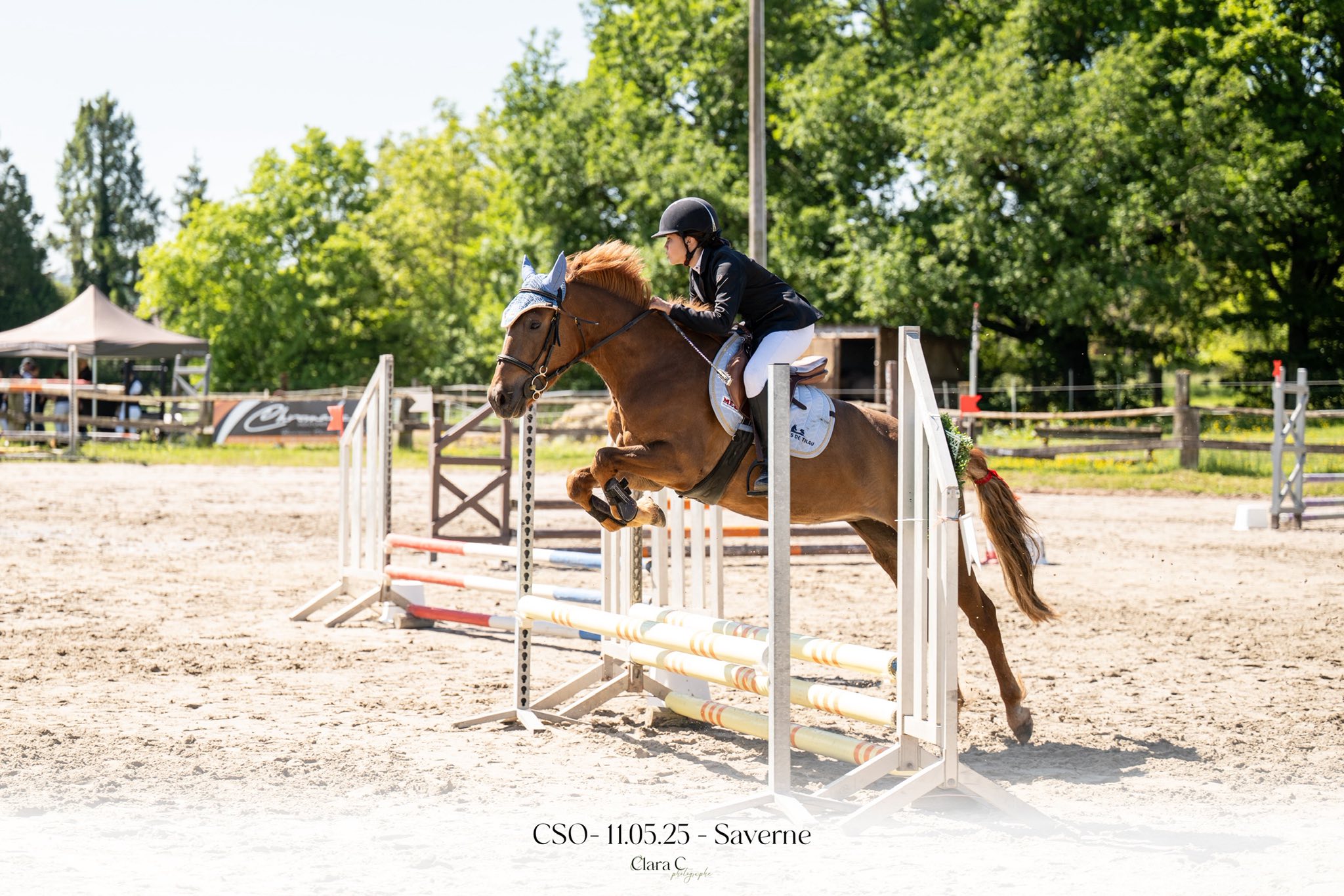 Poney du club nommé Jade