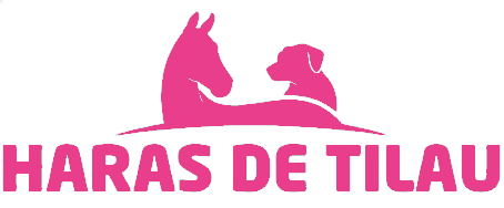 Logo du Haras de Tilau